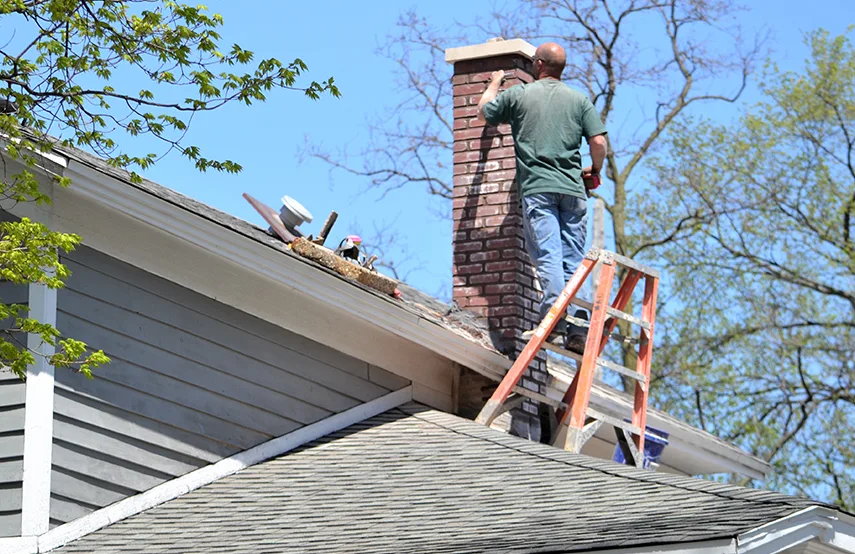 Chimney & Fireplace Inspections Services in Champlin, MN
